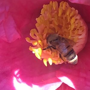 Meet your Posher, Joseph